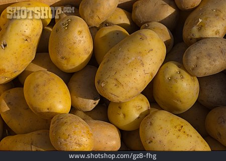 
                Kartoffel, Grundnahrungsmittel                   