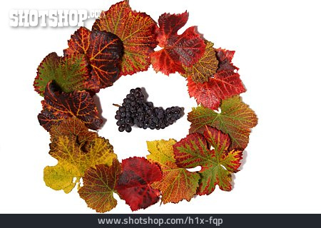 
                Herbstlaub, Weintrauben, Erntezeit                   