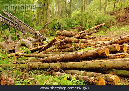
                Holz, Forstwirtschaft, Holzhaufen                   