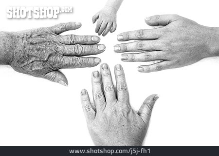 
                Hand, Alt, Jung, Generation                   