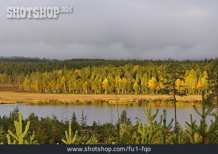 
                See, Wald, Schweden                   