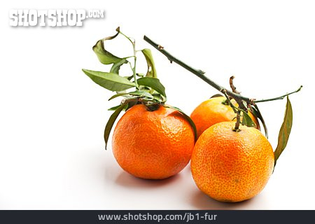
                Südfrucht, Mandarine, Zitrusfrucht                   