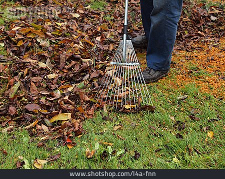 
                Herbstlaub, Harke, Gartenarbeit                   