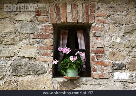 
                Fenster, Blumenfenster                   