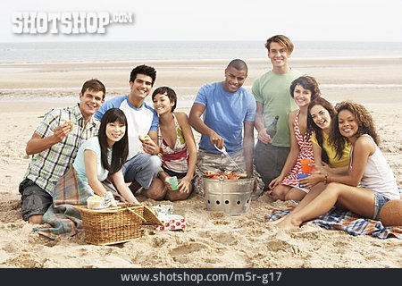 
                Broiling, Picnic, Friends, Beach Party                   