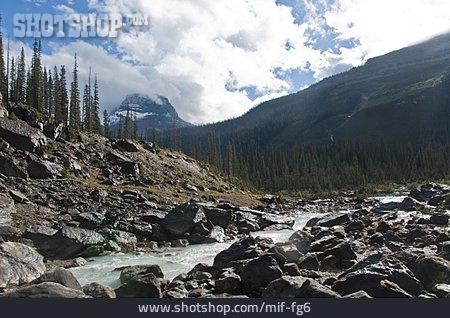 
                Illecillewaet River, Rogers Pass                   