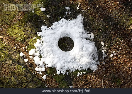 
                Snow, Circle, Forest                   