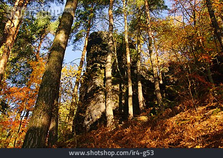 
                Wald, Felsen, Elbsandsteingebirge                   