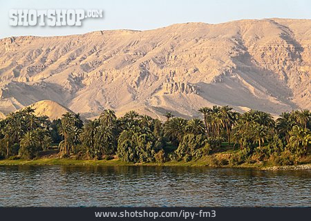 
                Gebirge, Palme, Nil                   