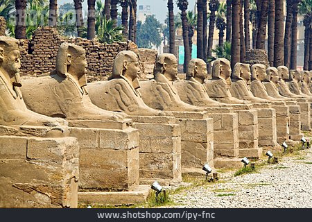 
                Archäologie, Sphinx, Luxor-tempel                   