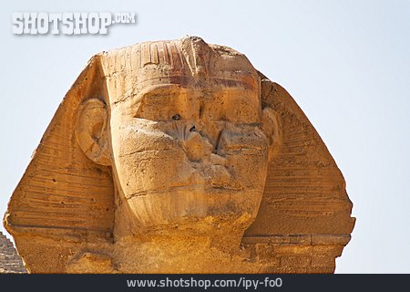 
                Statue, Sphinx, Gizeh                   