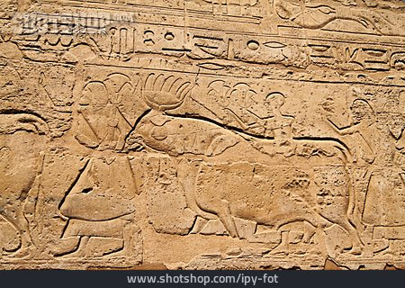
                Archäologie, Relief, Luxor-tempel                   
