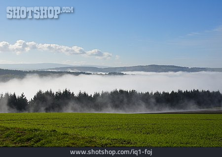 
                Landschaft, Nebel                   