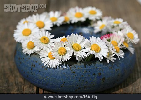 
                Gänseblümchen, Blumenkranz, Blumendekoration                   