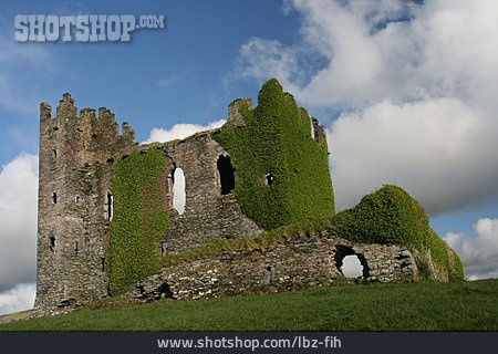 
                Burg, Ruine                   