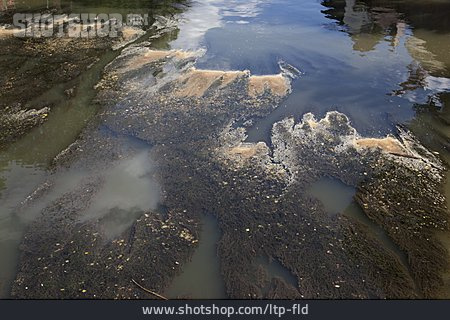 
                Fluss, Wasseroberfläche, Verschmutzung                   