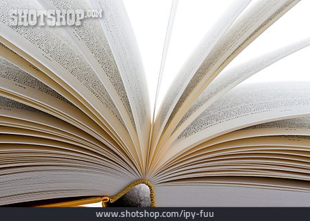
                Bildung, Buch, Seiten                   