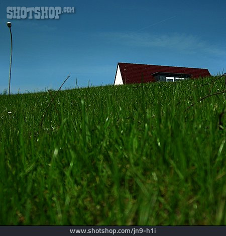 
                Meadow, Roof, Detached House                   