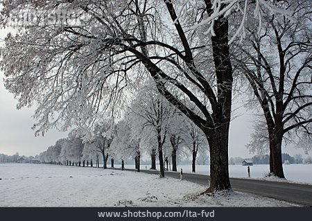 
                Winterlandschaft, Verschneit, Landstraße                   
