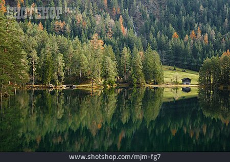 
                Wald, Bergsee                   