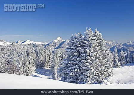 
                Winterlandschaft, Bayern                   