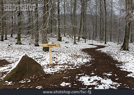 
                Wald, Friedhof, Ruheforst                   