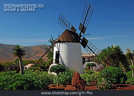 
                Garten, Windmühle, Fuerteventura                   