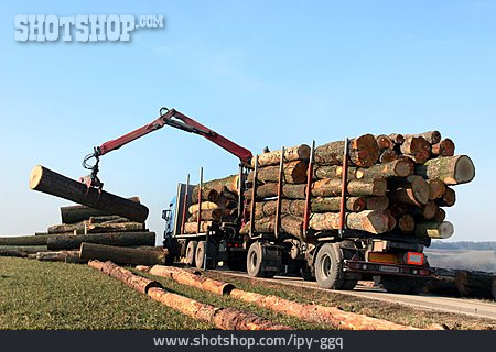 
                Forstwirtschaft, Holztransport, Verladen                   