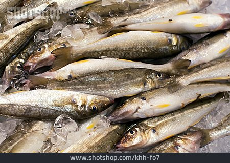 
                Fischmarkt, Speisefisch, Weißfisch                   