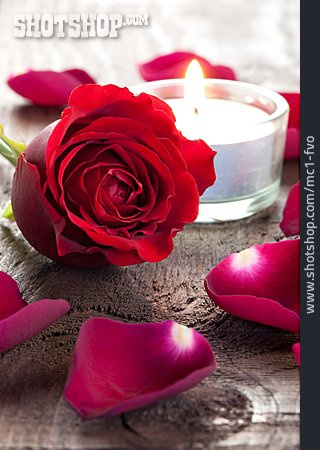 
                Valentinstag, Romantisch, Rote Rose                   