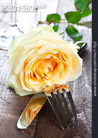 
                Rose, Table Decoration                   