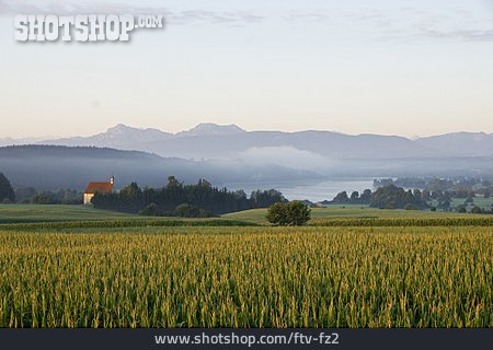 
                Landschaft, Bayern, Rupertiwinkel, Tachinger See                   