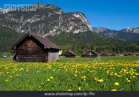 
                Blumenwiese, Berghütte, Feldscheune                   