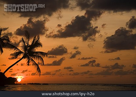 
                Sonnenuntergang, Tropisch, Karibik                   