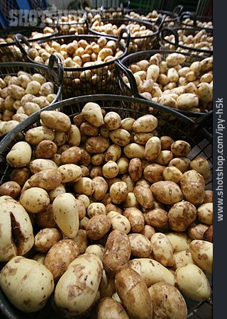 
                Kartoffel, Marktstand, Wochenmarkt                   