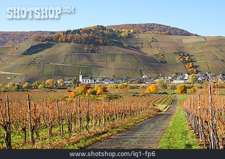 
                Weinbau, Rheinland-pfalz, Kesten                   