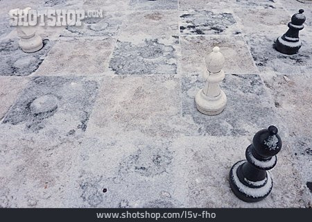 
                Schach, Schachspiel                   