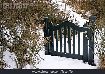 
                Snowy, Scrub, Garden Gate                   
