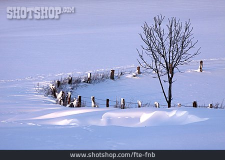 
                Winterlandschaft, Verschneit, Schneelandschaft                   