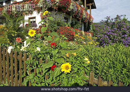 
                Blumenschmuck, Blumenbeet, Balkonblumen                   