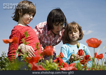 
                Blumenwiese, Familie, Mohnblume                   