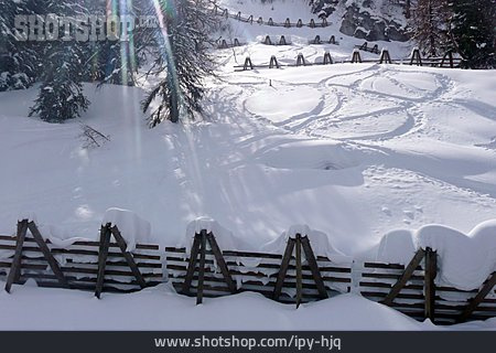 
                Schneespur, Lawinenschutz, Skispur                   