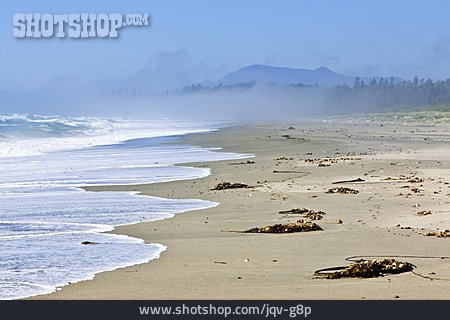 
                Sandstrand, Strandgut, Pazifik                   