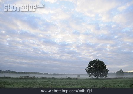 
                Landschaft, Morgennebel, Frühnebel                   