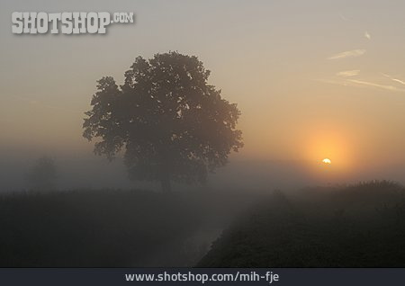 
                Landschaft, Sonnenaufgang, Nebel                   