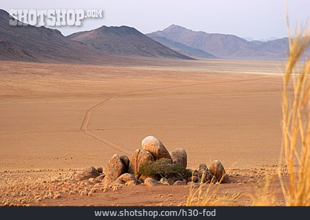 
                Namibwüste                   