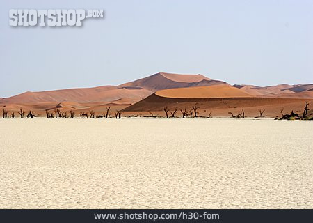 
                Sossusvlei, Namib-wüste, Namib-naukluft-nationalpark                   
