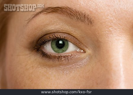 
                Grüne Augen, Auge                   
