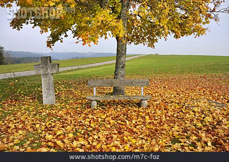 
                Baum, Kreuz, Herbstlich, Sitzbank                   