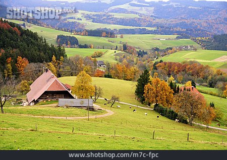 
                Schwarzwald, Herbstlandschaft, Gehöft                   